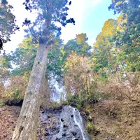 羽黒山の写真・動画_image_459242