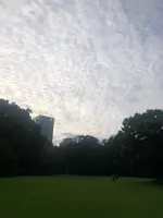 新宿御苑の写真・動画_image_459389