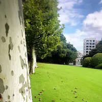 新宿御苑の写真・動画_image_459390