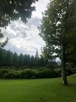 新宿御苑の写真・動画_image_459393