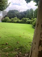新宿御苑の写真・動画_image_459394