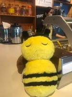 【閉業】キッピーズ ココクリームの写真・動画_image_459422