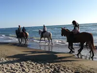 Porto Turistico di Romaの写真・動画_image_459545