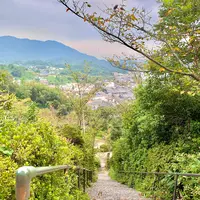 向上寺の写真・動画_image_459577