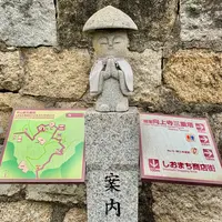 向上寺の写真・動画_image_459578