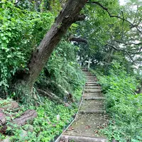 向上寺の写真・動画_image_459581
