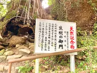 生樹の御門の写真・動画_image_459809