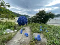 REBORN ART FESTIVALの写真・動画_image_460098
