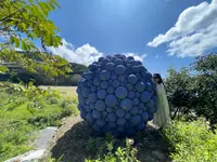 REBORN ART FESTIVALの写真・動画_image_460099