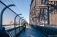 Sydney Harbour Bridge（シドニー・ハーバーブリッジ）の写真・動画_image_460198