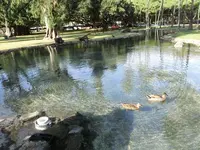 カピオラニ・リージョナル・パークの写真・動画_image_460445