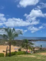 シャークスコーブの写真・動画_image_460566