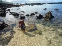 シャークスコーブの写真・動画_image_460567