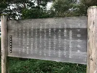天女山の写真・動画_image_460595