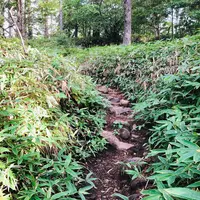 天女山の写真・動画_image_460596