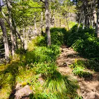 天の河原の写真・動画_image_460601