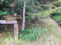 天の河原の写真・動画_image_460603