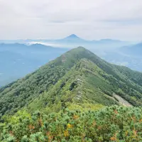 権現岳の写真・動画_image_460619