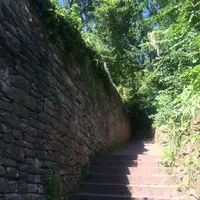 Philosophenwegの写真・動画_image_460897