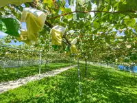 信州フルーツランド 信州中野インター店の写真・動画_image_460933