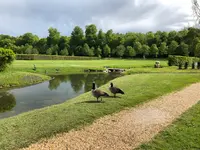 ル・アモーの写真・動画_image_460968