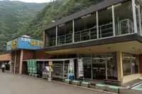 大歩危遊覧船の写真・動画_image_461004