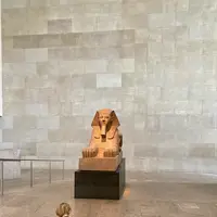 メトロポリタン美術館の写真・動画_image_461055