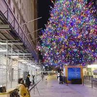 ニューヨーク証券取引所の写真・動画_image_461066