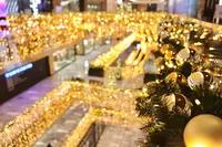 55 ハドソン・ヤードの写真・動画_image_461079