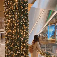 55 ハドソン・ヤードの写真・動画_image_461080