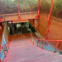 HAY TOKYOの写真・動画_image_461203