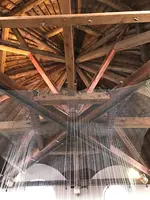 台中市役所の写真・動画_image_461282