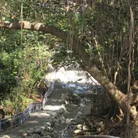 八卦山文学歩道の写真・動画_image_461303
