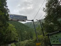 祖谷渓キャンプ村の写真・動画_image_461341