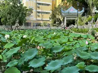 ロウ・リム・イオック庭園の写真・動画_image_461400