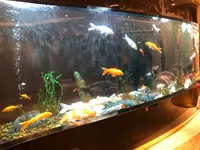 澳門葡京酒店の写真・動画_image_461525