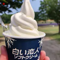 羊ヶ丘展望台の写真・動画_image_461532