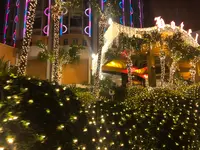 澳門葡京酒店の写真・動画_image_461545