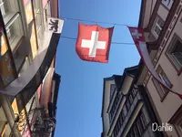 アッペンツェルの写真・動画_image_461729