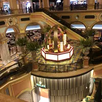 The Venetian Macau Resort Hotelの写真・動画_image_461846