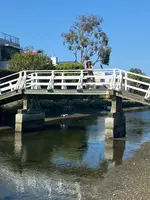 Venice Canalsの写真・動画_image_461972