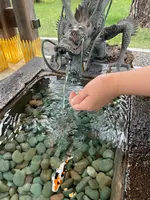 西野神社の写真・動画_image_461998