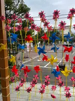 発寒神社の写真・動画_image_462007