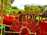 Dole Plantationの写真・動画_image_462265