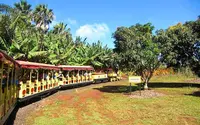 Dole Plantationの写真・動画_image_462266