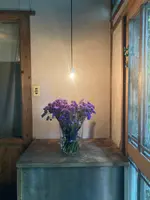 パッパライライの写真・動画_image_462289