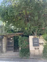 パッパライライの写真・動画_image_462290
