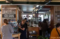 Celsius Coffee Co.の写真・動画_image_462449