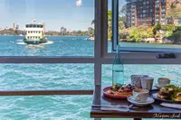 Celsius Coffee Co.の写真・動画_image_462450