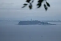 はやま三ケ岡山緑地の写真・動画_image_462546